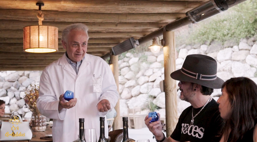 Cómo-se-mide-la-calidad-del-Aceite-de-Oliva