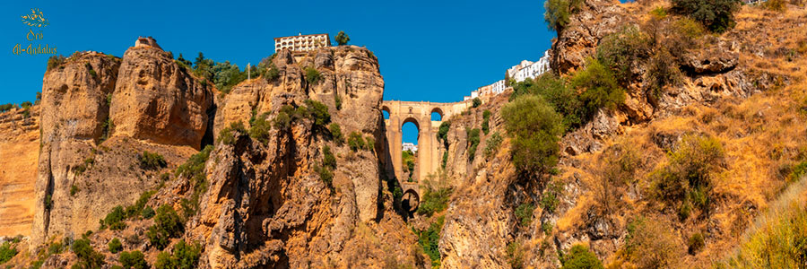 Cómo-se-mide-la-calidad-del-Aceite-de-Oliva