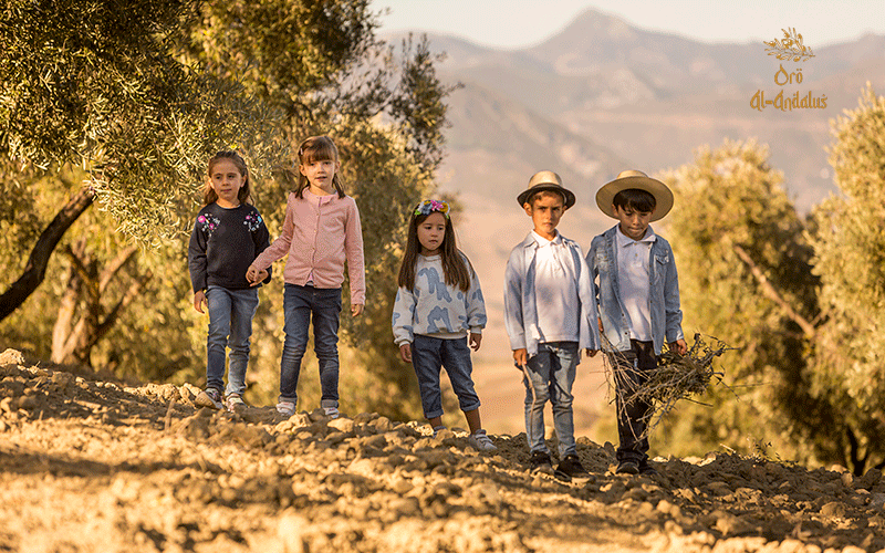 La_importancia_del_cultivo_del_olivar