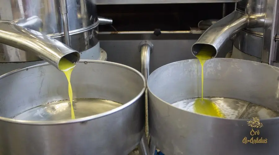 presa-del-aceite-virgen-extra-en-almazara