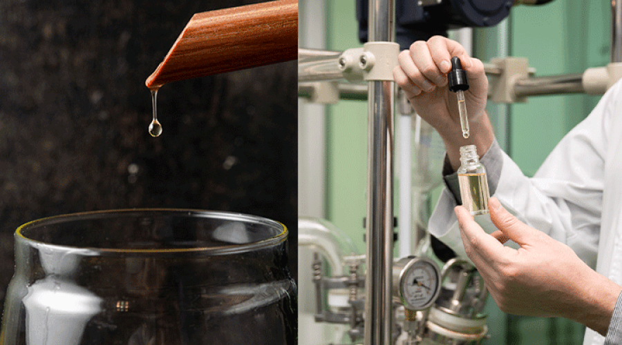 Los-diferentes_métodos_de_producción_del_AOVE